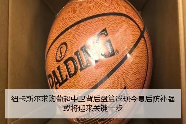 纽卡斯尔求购葡超中卫背后盘算浮现今夏后防补强或将迎来关键一步（leyu）